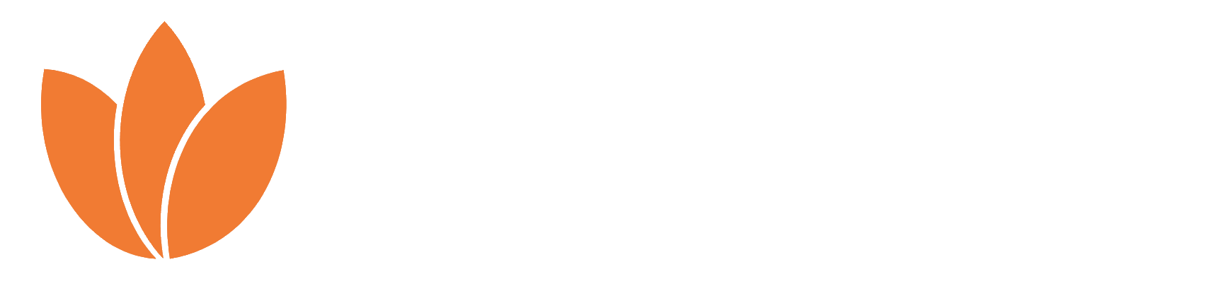 ML International Consulting FCZO